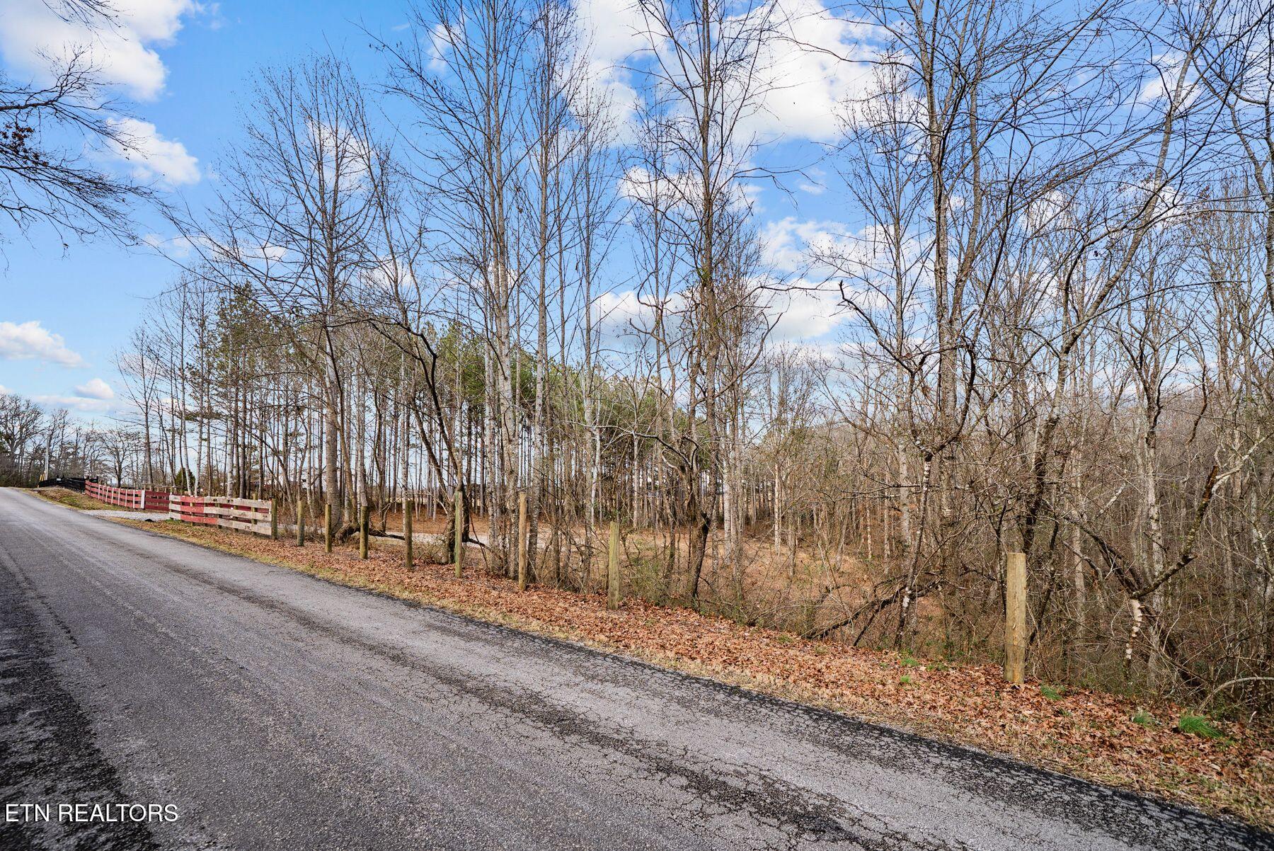 185 Mt Vernal Road Rockwood, TN 37854 - Photo 22 of 28 IMG_8795