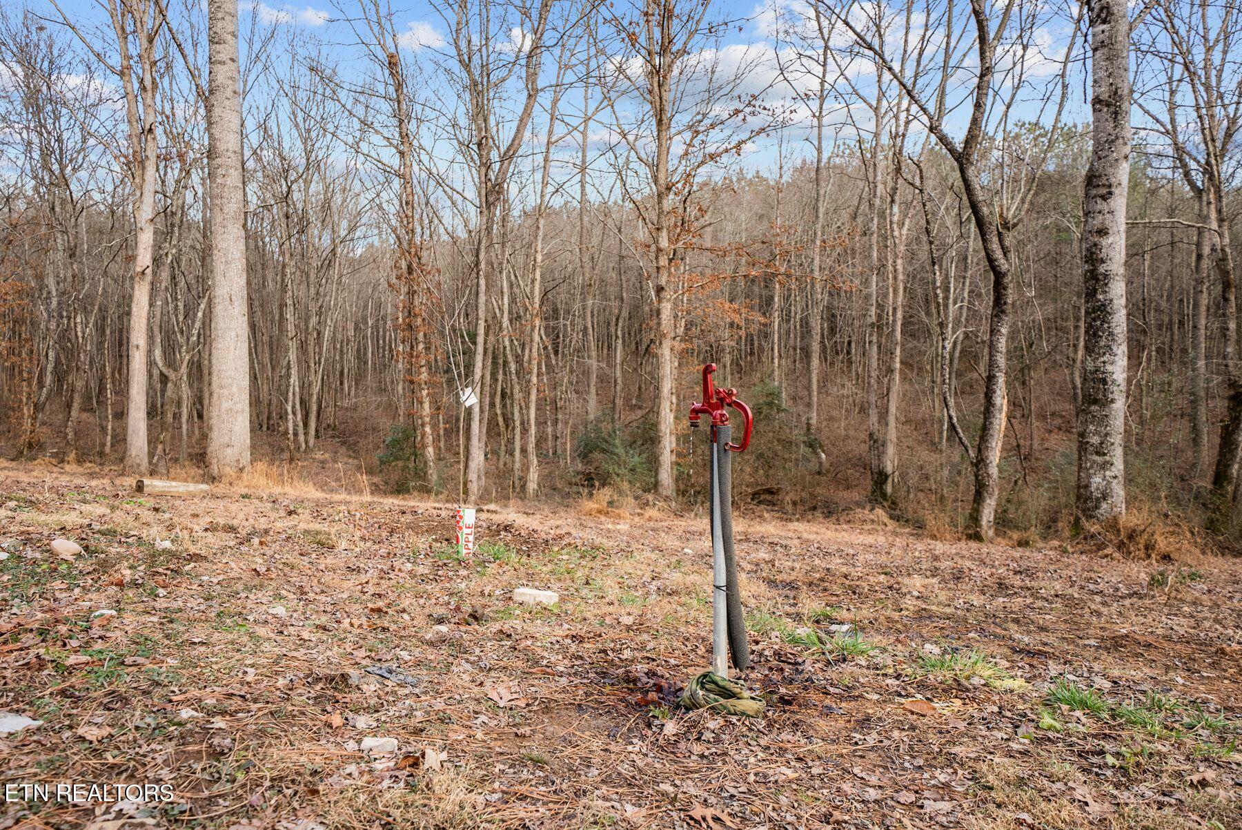 185 Mt Vernal Road Rockwood, TN 37854 - Photo 26 of 28 IMG_8803