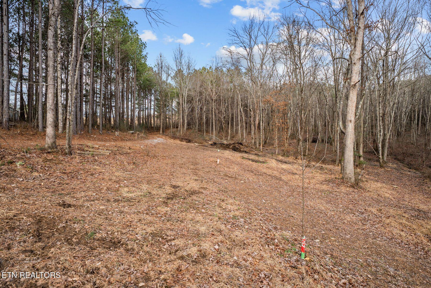 185 Mt Vernal Road Rockwood, TN 37854 - Photo 26 of 28 IMG_8804