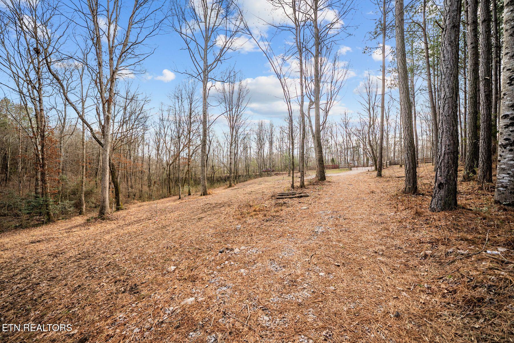 185 Mt Vernal Road Rockwood, TN 37854 - Photo 28 of 28 IMG_8805