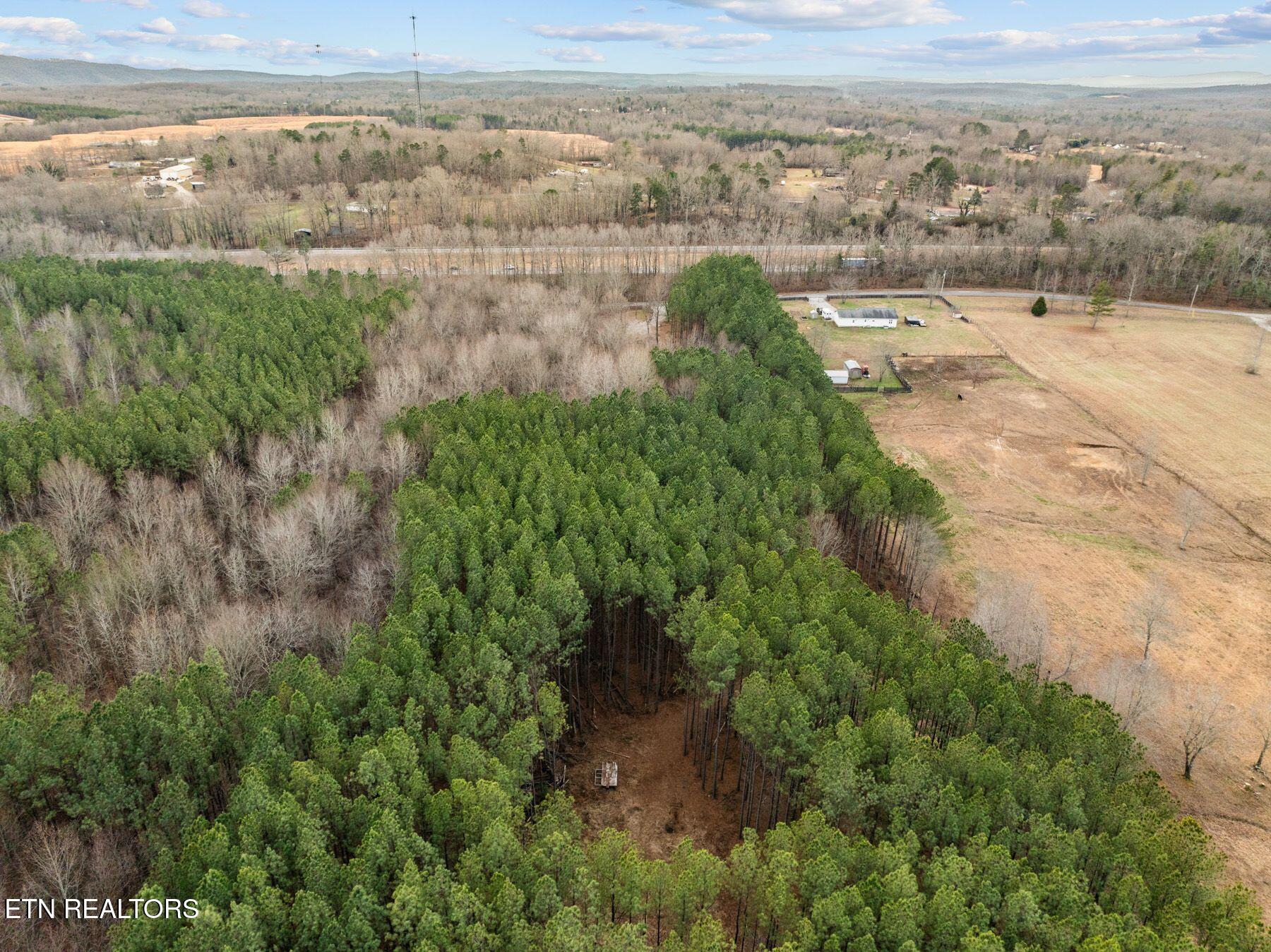 185 Mt Vernal Road Rockwood, TN 37854 - Photo 5 of 28 IMG_8785