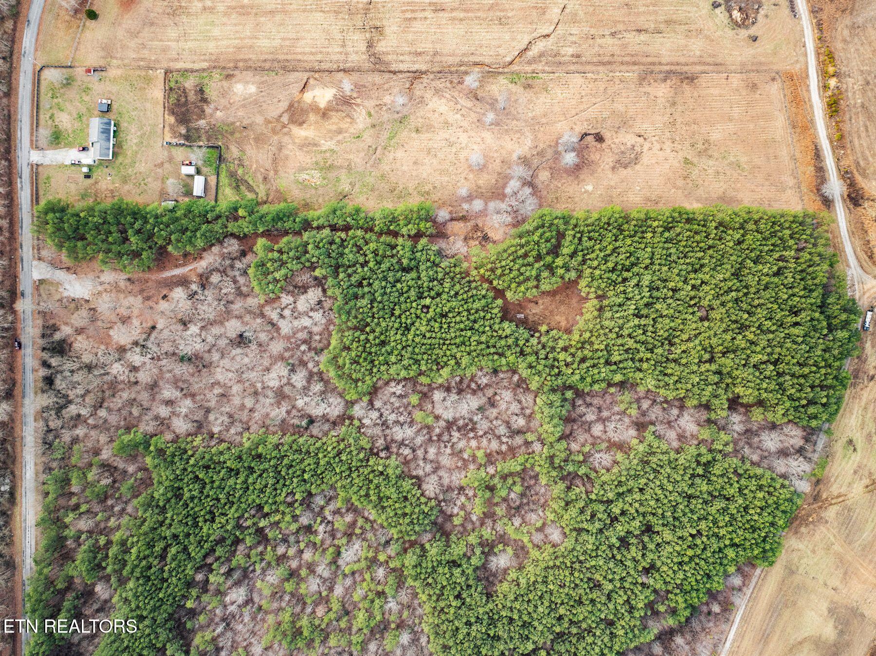 185 Mt Vernal Road Rockwood, TN 37854 - Photo 6 of 28 IMG_8791