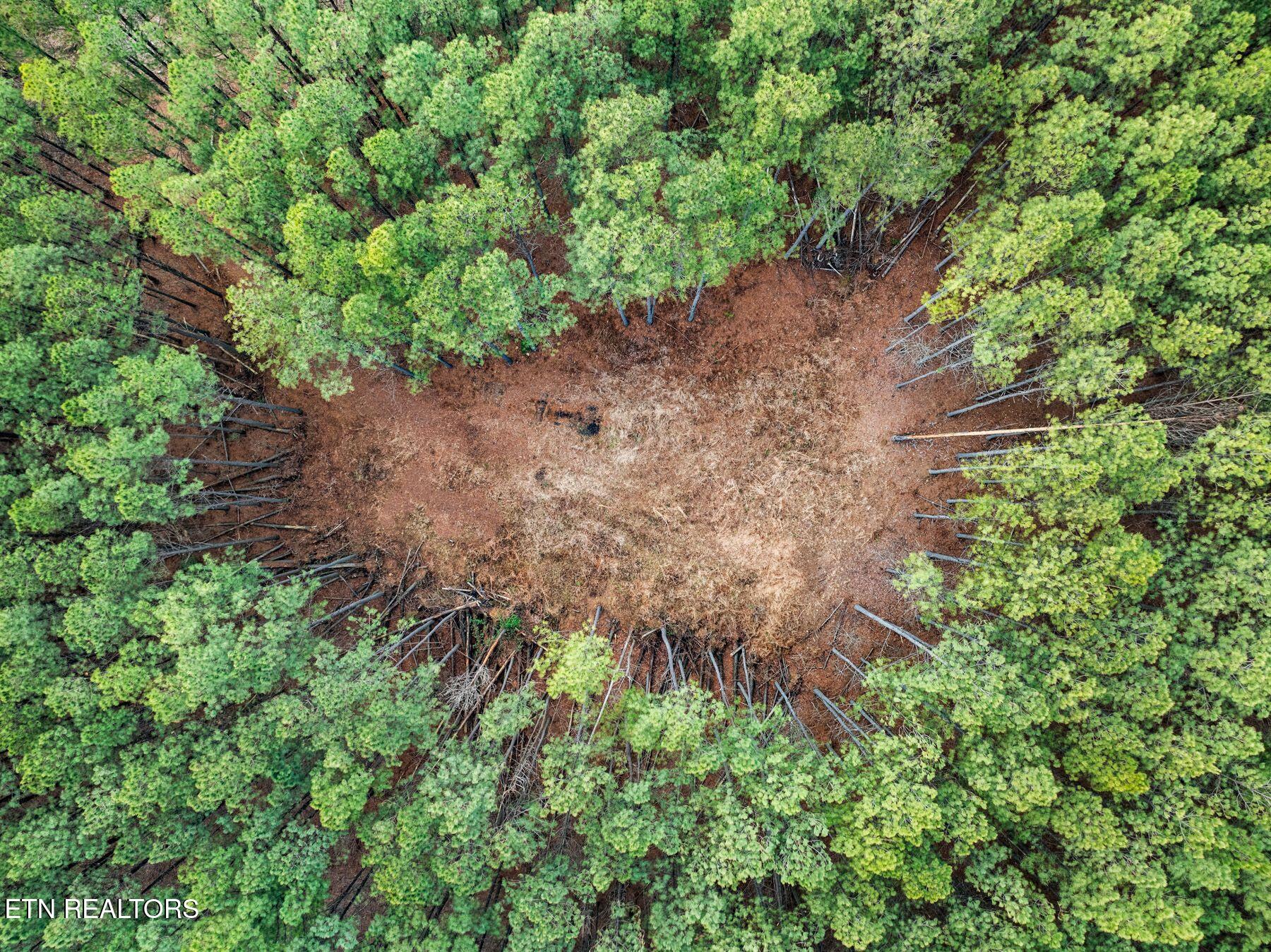 185 Mt Vernal Road Rockwood, TN 37854 - Photo 8 of 28 IMG_8779