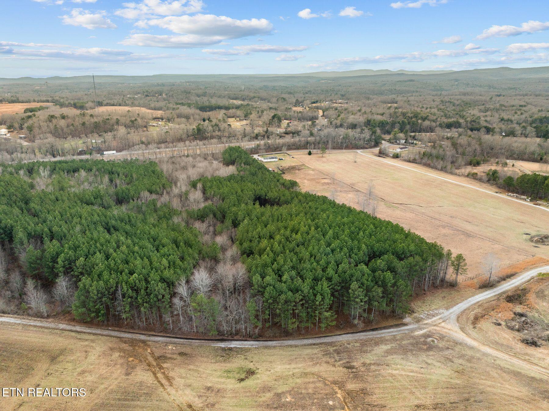 185 Mt Vernal Road Rockwood, TN 37854 - Photo 9 of 28 IMG_8780