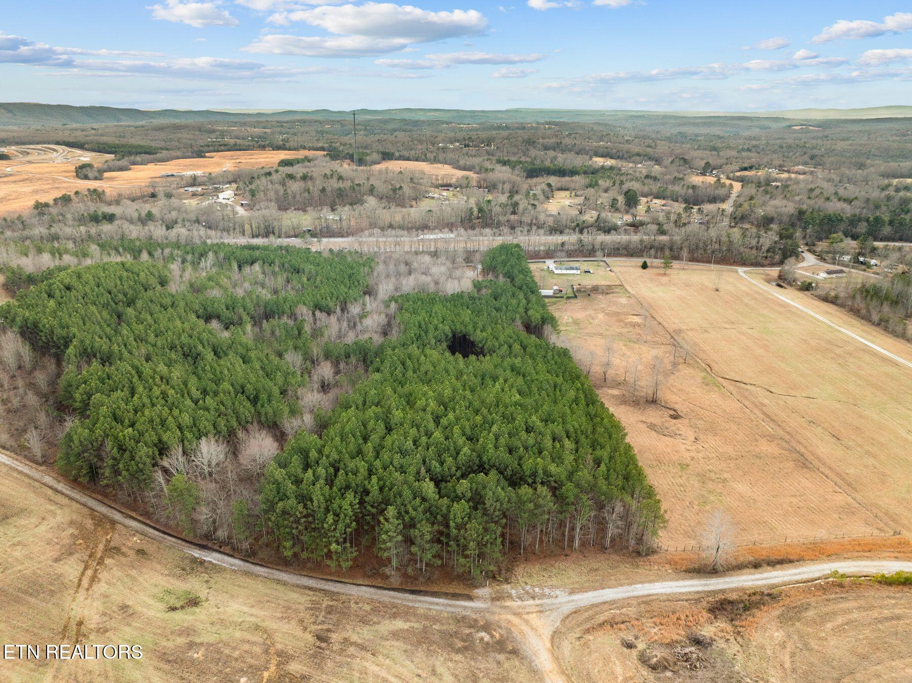 185 Mt Vernal Road Rockwood, TN 37854 - Photo 10 of 28 IMG_8781