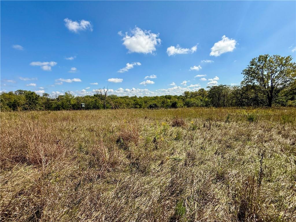 0 New Lancaster Road Lacygne, KS 66040 - Photo 21 of 32