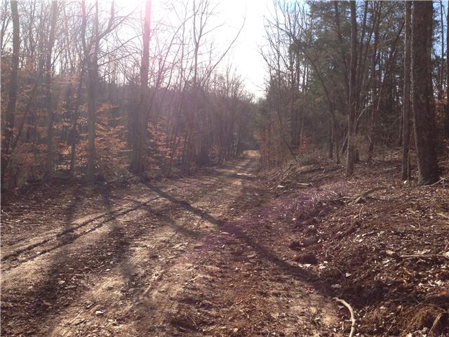 0 Parrot Road Cumberland Furnace, TN 37051 - Photo 7 of 15 Gallery Image 7