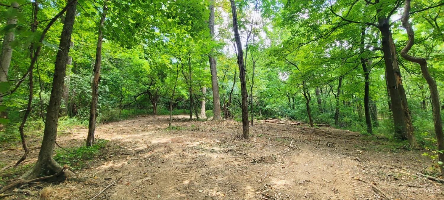 8.63-ac Laurel-Point Isabel Road Moscow, OH 45153 - Photo 4 of 29