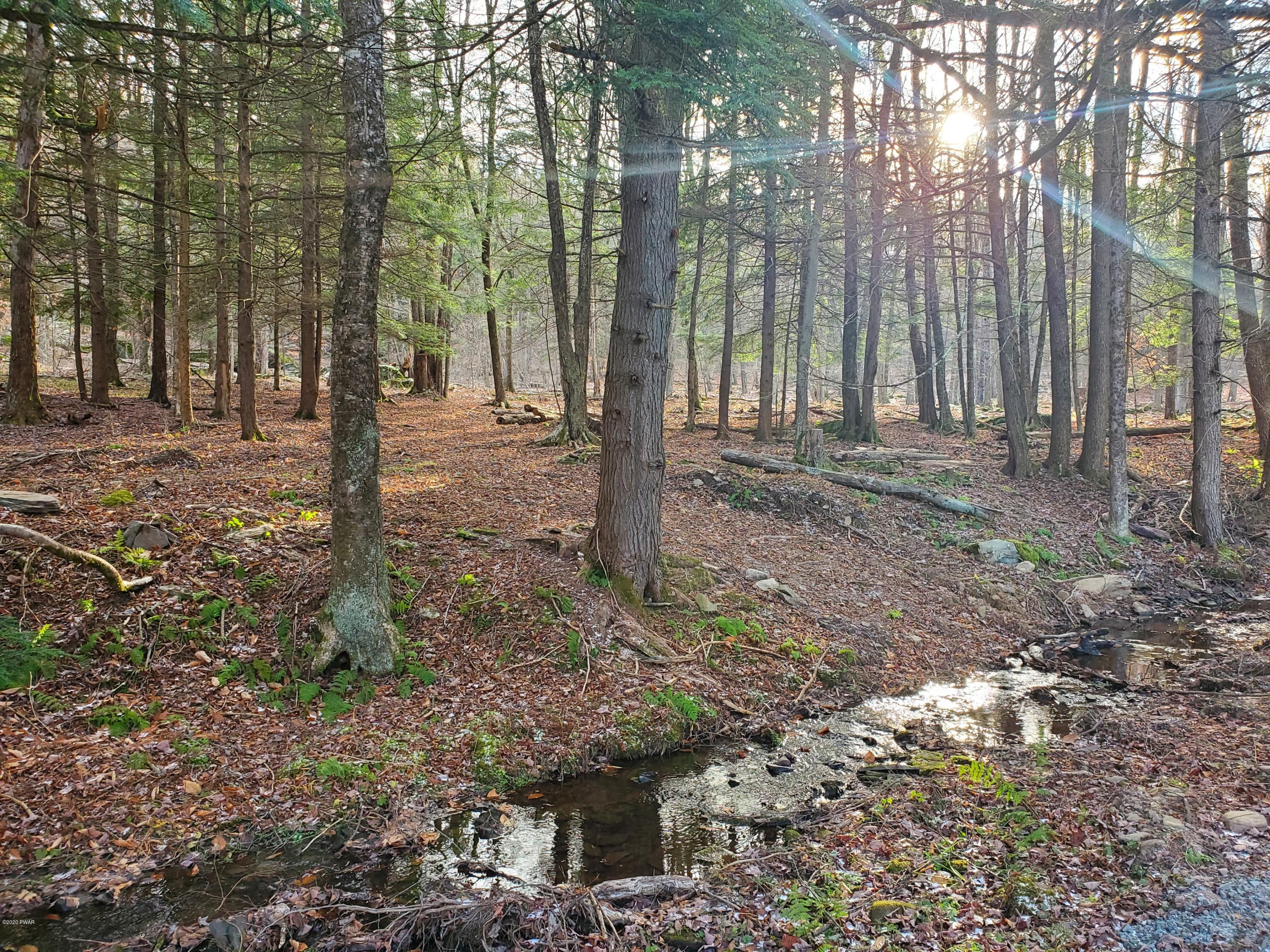 Layton Road Equinunk, PA 18417 - Photo 10 of 12 Stream 1