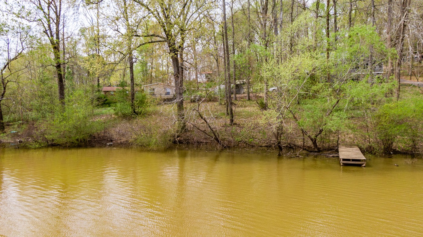 1083 Lost Creek Boat Dock Road Decaturville, TN 38329 - Photo 10 of 22 Gallery Image 10