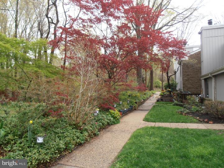 3501 San Rafael Court, Unit TYPE Springfield, PA 19064 - Photo 2 of 17 Gallery Image 2