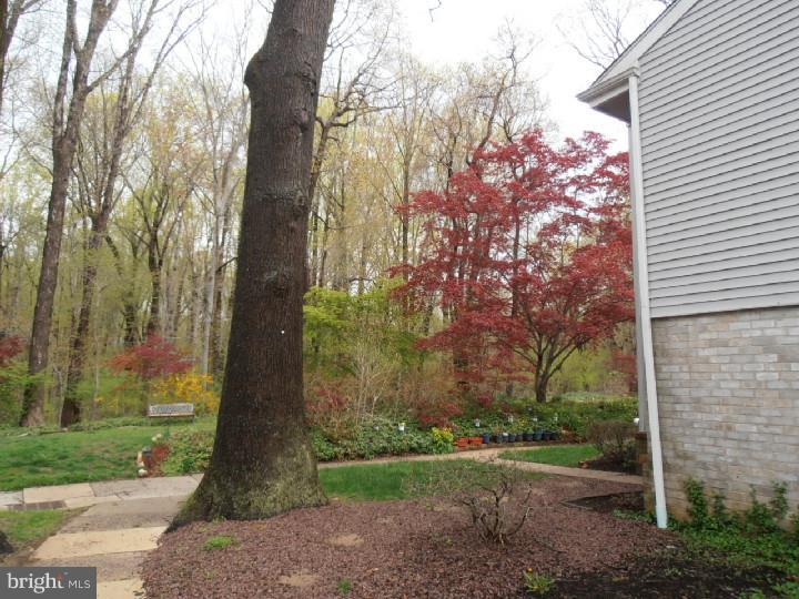 3501 San Rafael Court, Unit TYPE Springfield, PA 19064 - Photo 16 of 17 Gallery Image 16
