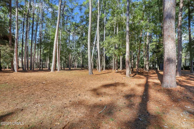 $95,000 | 117 Summerton Drive, Bluffton, SC 29910