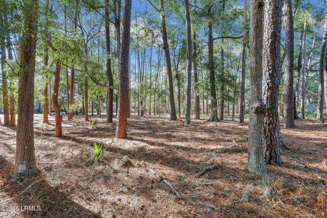 $95,000 | 117 Summerton Drive, Bluffton, SC 29910