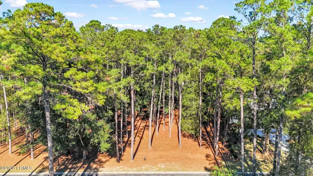 $95,000 | 117 Summerton Drive, Bluffton, SC 29910