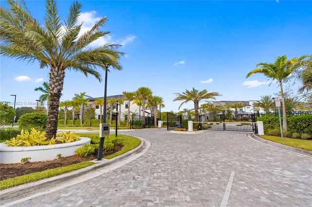 a view of a park with a palm tree
