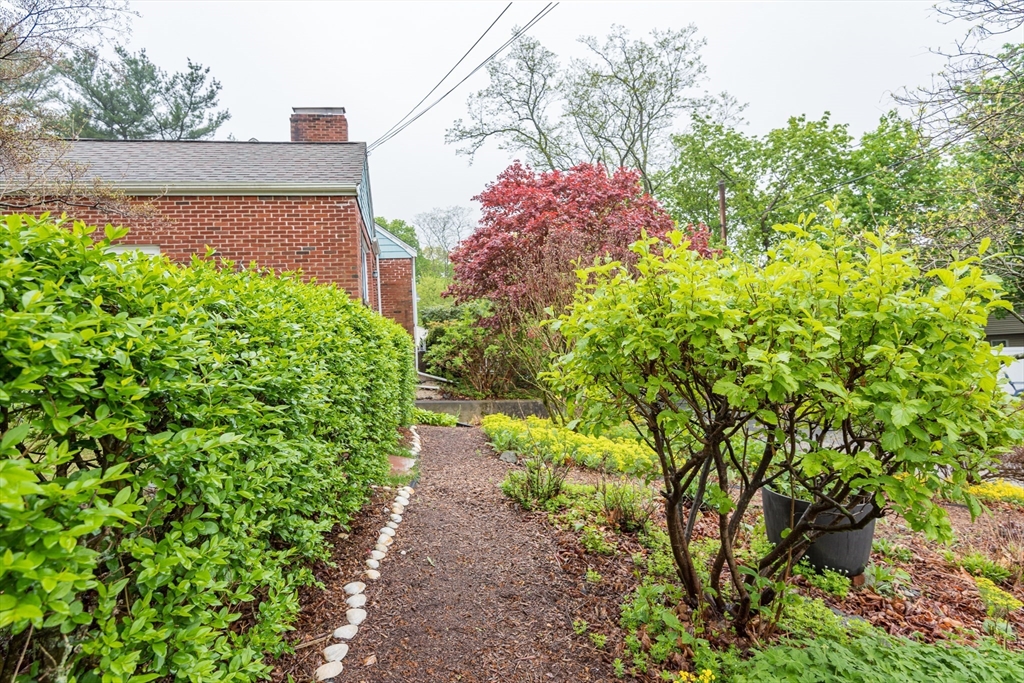 67 Smith Street Arlington, MA 02476 - Photo 27 of 32 a view of a garden with flowers