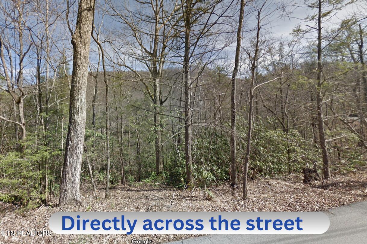 466 Loop Road Gatlinburg, TN 37738 - Photo 8 of 15 Screen Shot 2023-11-03 at 11.33.22 AM