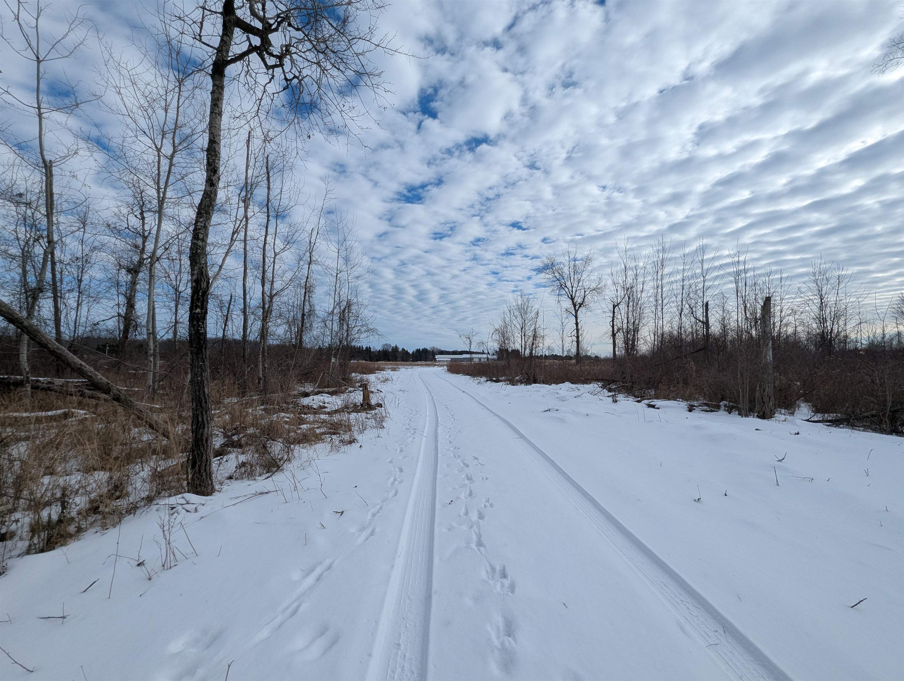 N/a Swenson Road Au Gres, MI 48703 - Photo 9 of 15