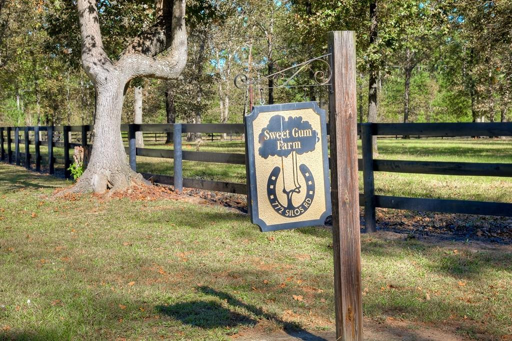 772 Silos Road Beech Island, SC 29842 - Photo 9 of 70 Gallery Image 9