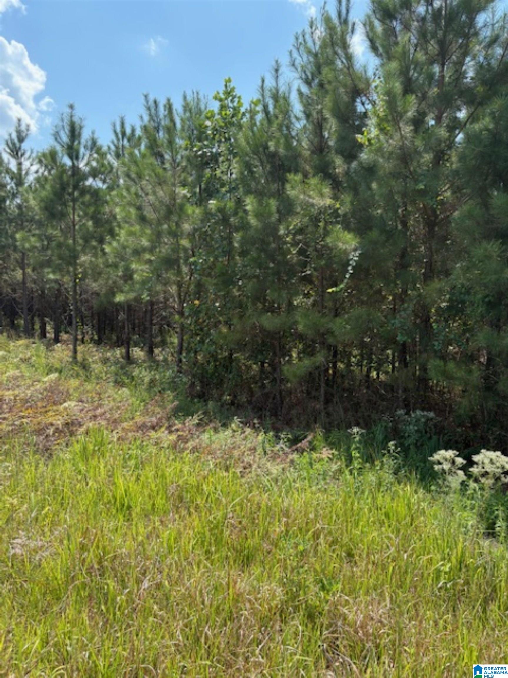 472 County Road, Unit 4 Clanton, AL 35045 - Photo 2 of 6