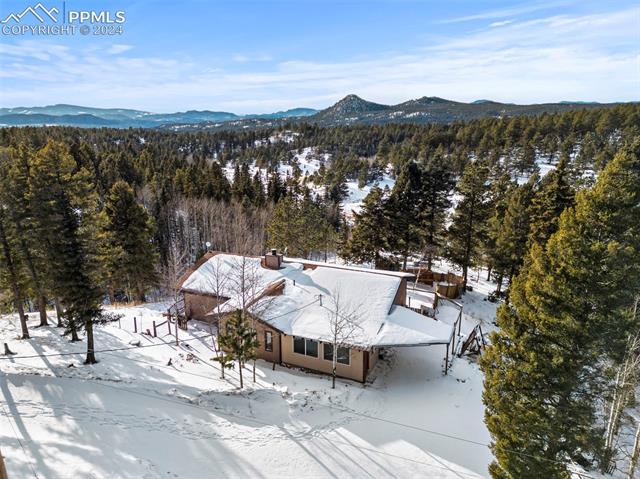 371 Rangeview Road Divide, CO 80814 - Photo 4 of 34 Gallery Image 4