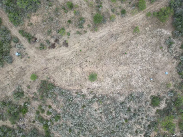 a close up of a field