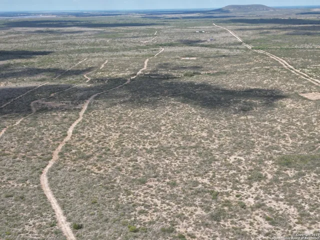a view of a dry yard