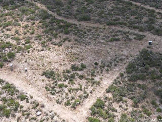 a view of a dry yard with trees all around