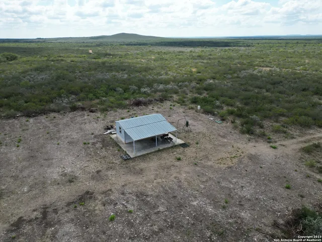 a view of a dry yard with lots of trees