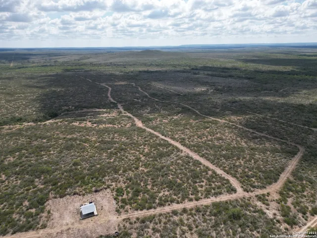 a view of a dry yard with lots of bushes