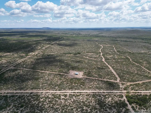 a view of a bunch of trees