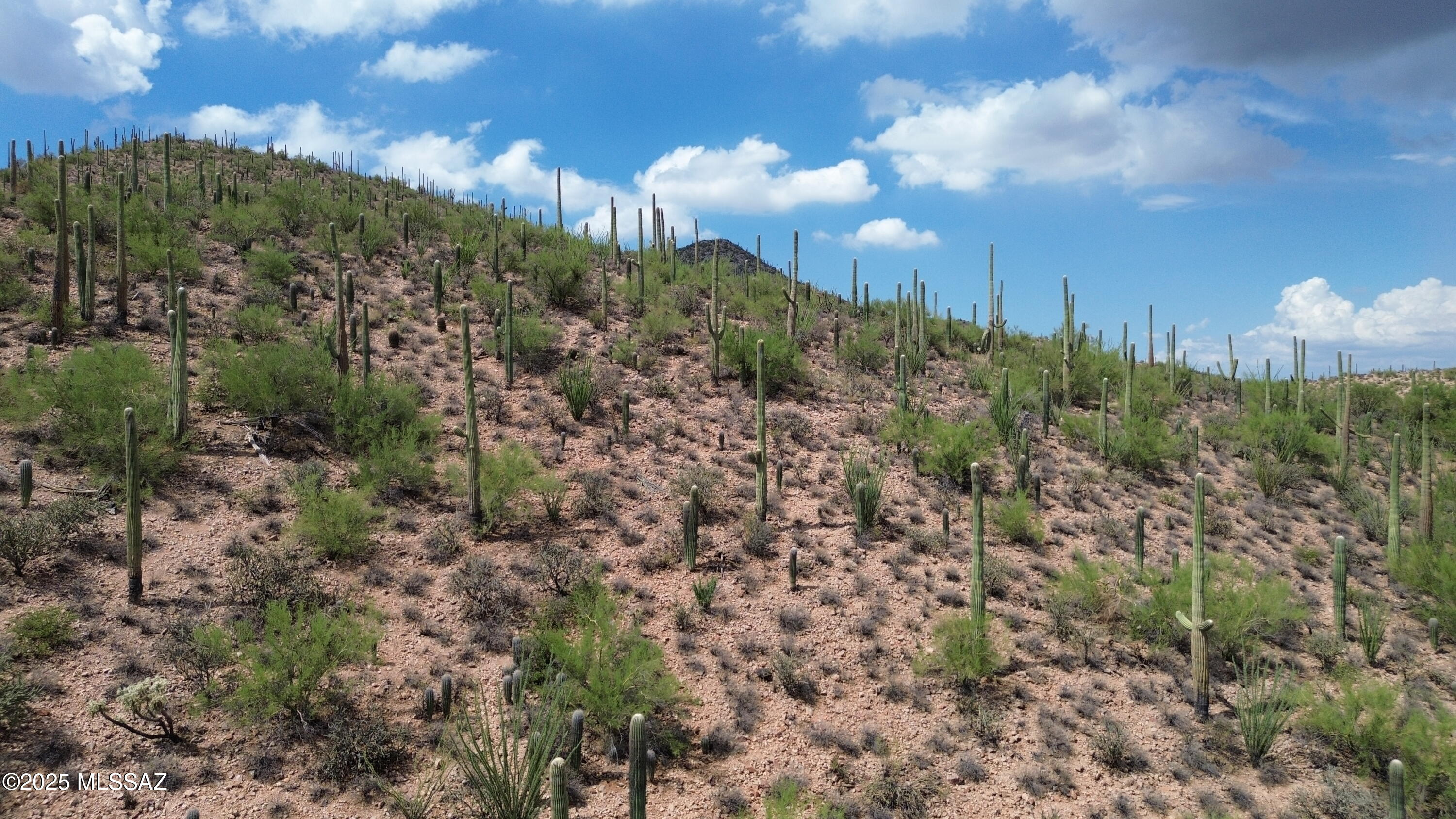 475 South Hotel Service Road Tucson, AZ 85745 - Photo 47 of 49 DJI_0777