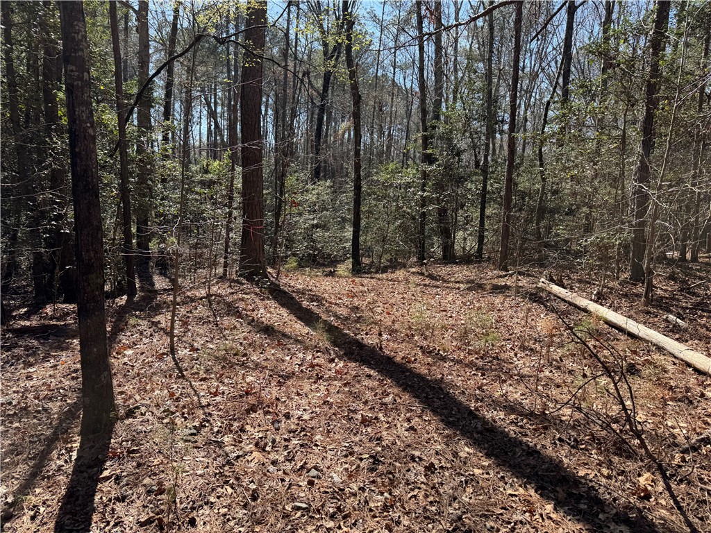 0 Golden Hickory Drive Anderson, SC 29621 - Photo 6 of 22 A tranquil wooded lot offers a peaceful retreat for your future home.