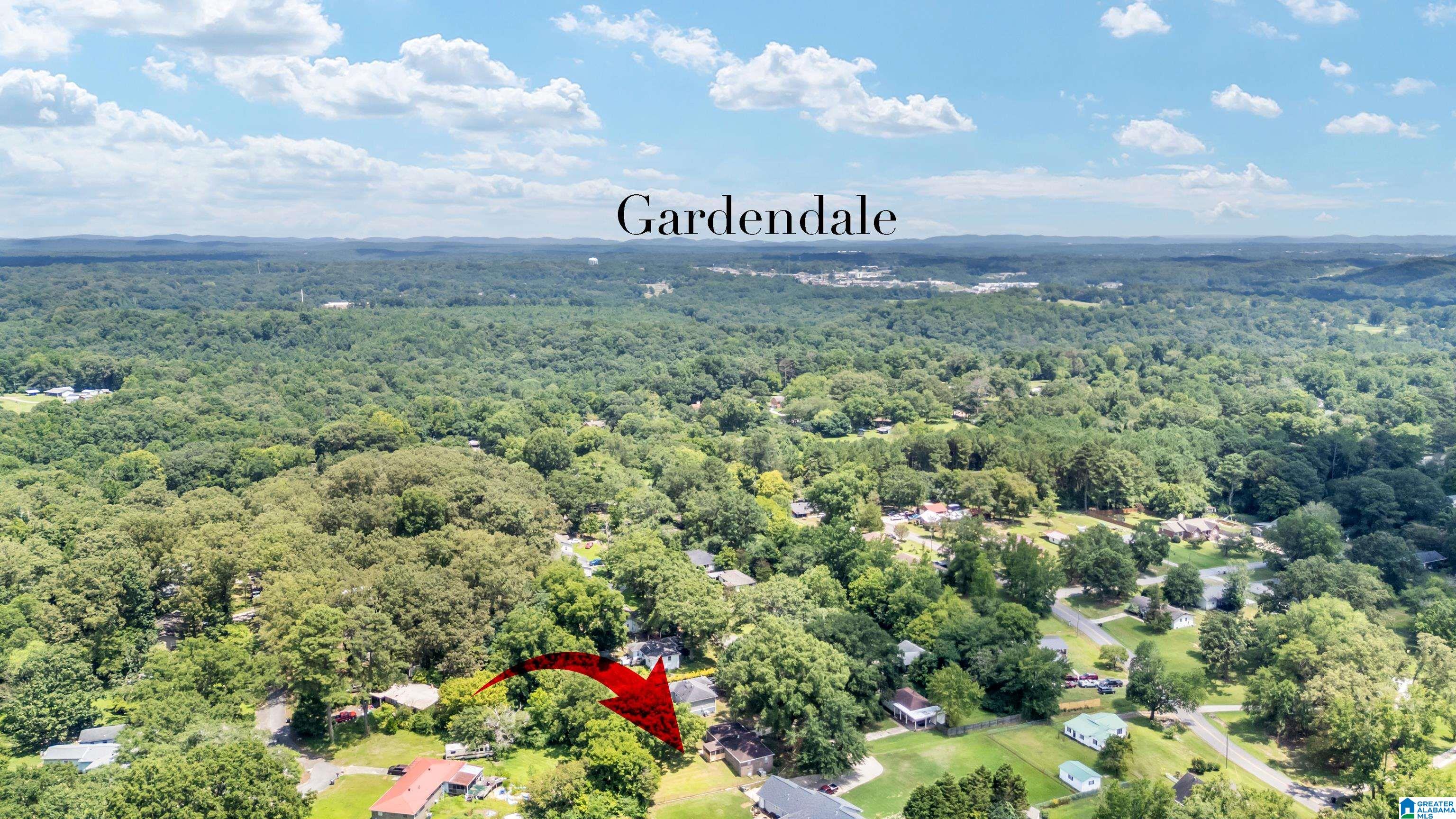 299 Pleasant Road Mount Olive, AL 35117 - Photo 33 of 46