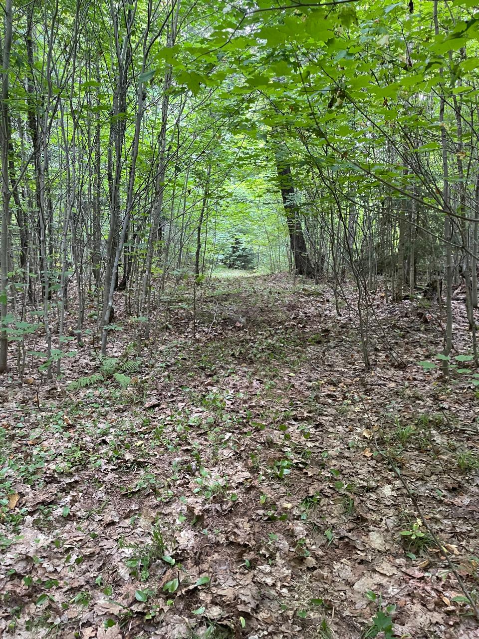 39-ac Off County Line Lake Road Watersmeet, MI 49969 - Photo 8 of 18 Gallery Image 8