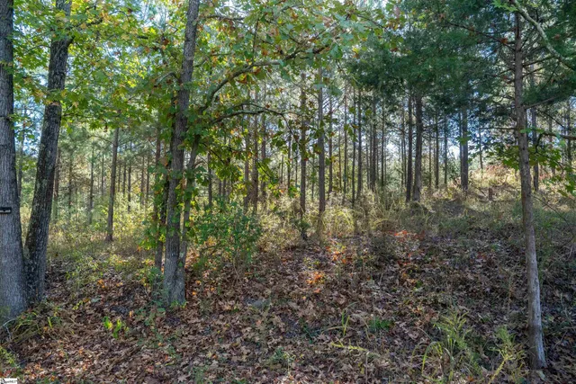 $89,777 | 735 Gwinn Mill Road, Pauline, SC 29374