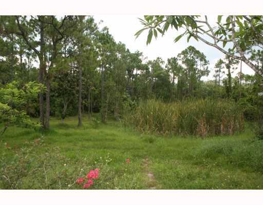 10887 165th Road North Jupiter, FL 33478 - Photo 9 of 12 Additional Photo