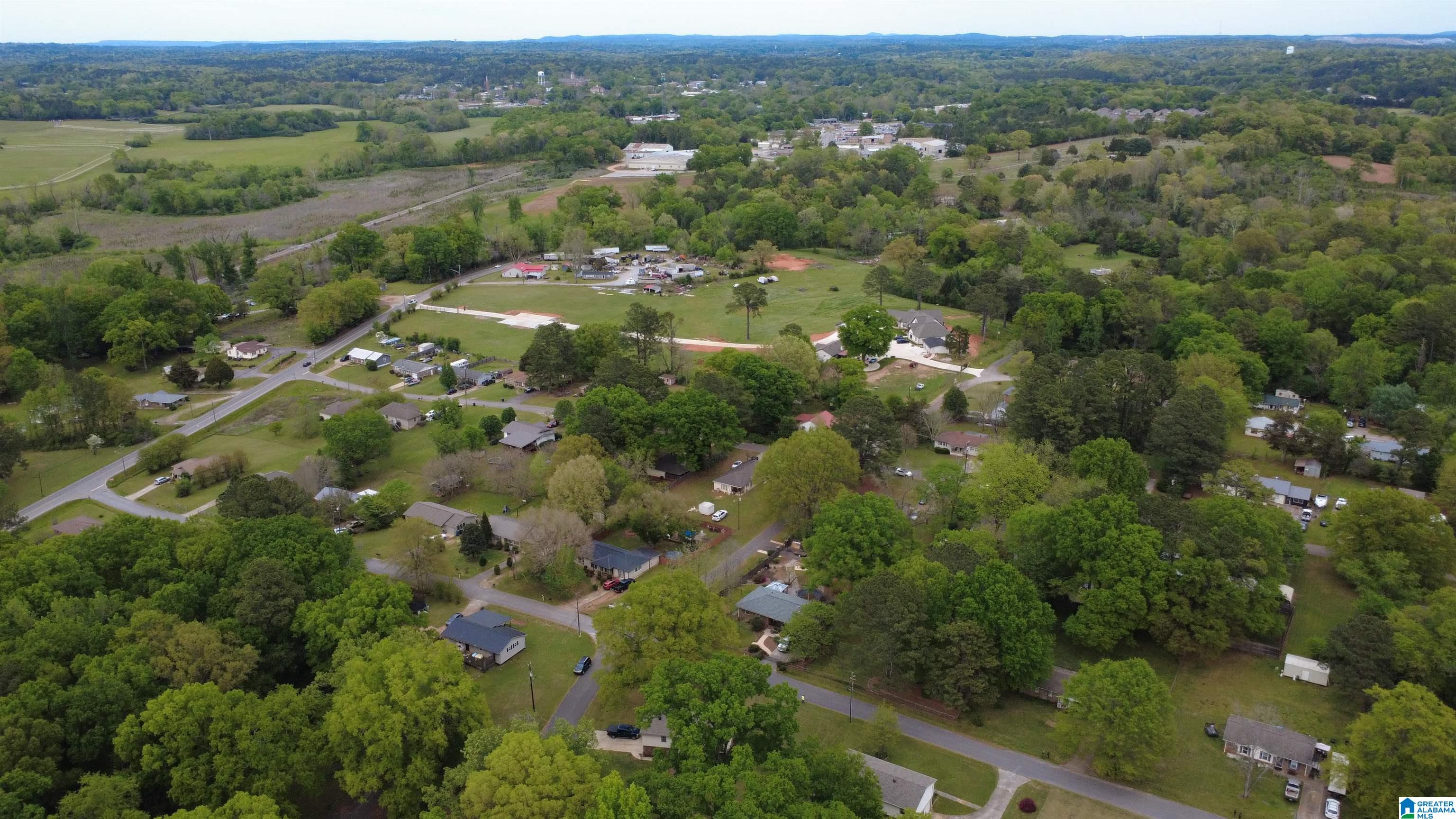 0 Strother Street Montevallo, AL 35115 - Photo 24 of 25