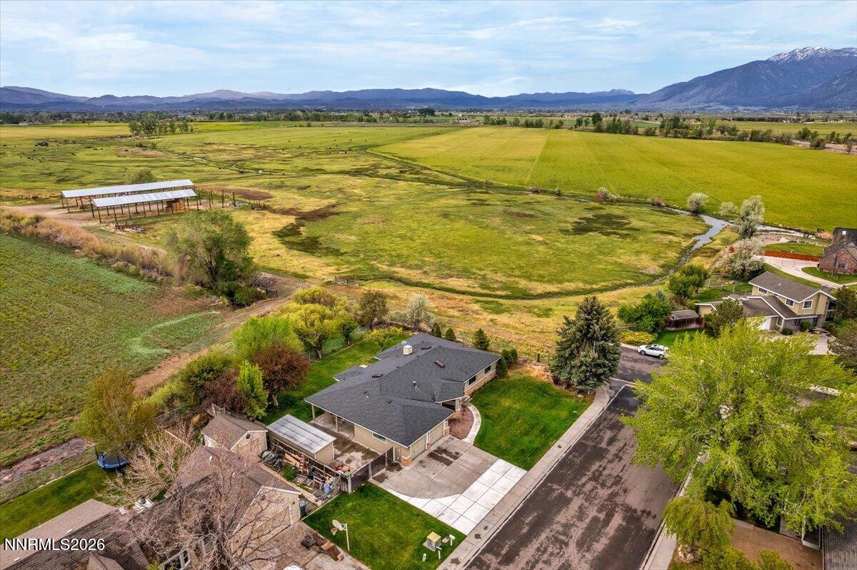 1607 Olua Street Minden, NV 89423 - Photo 6 of 75 05-DJI_0408
