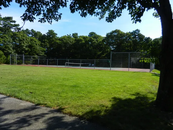 a view of a field with a tree