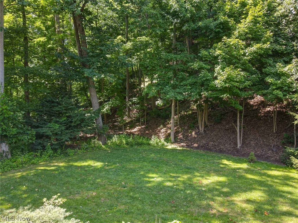 3700 Chagrin River Road Chagrin Falls, OH 44022 - Photo 33 of 43 View of yard