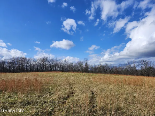 $198,000 | 379 Christenson Road, Deer Lodge, TN 37726