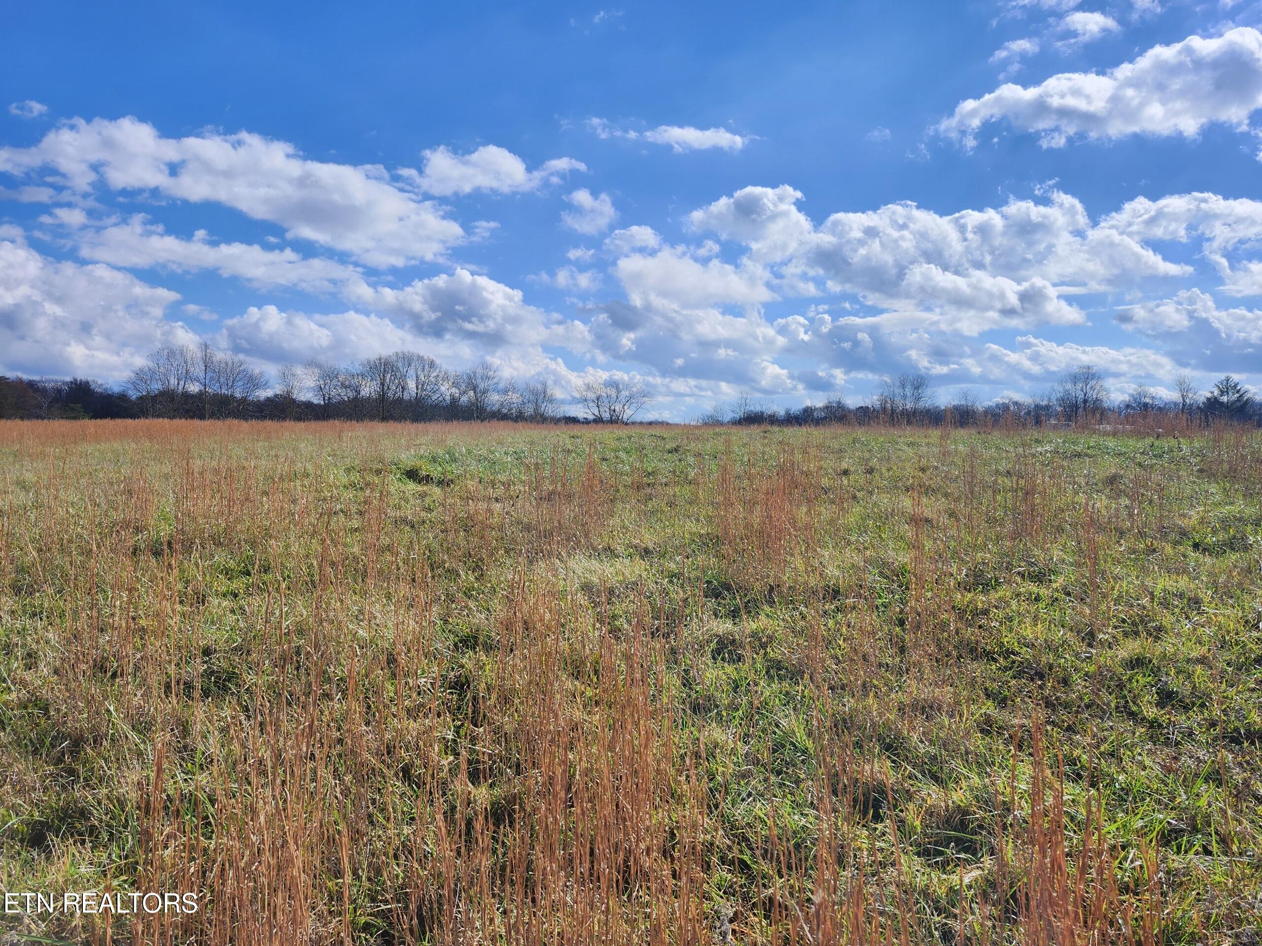 379 Christenson Road Deer Lodge, TN 37726 - Photo 4 of 8 Resized_20251122_114317
