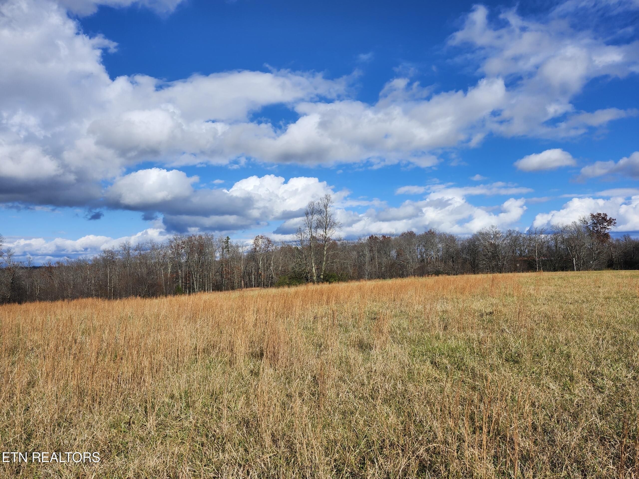 379 Christenson Road Deer Lodge, TN 37726 - Photo 5 of 8 Resized_20251122_124559 (1)