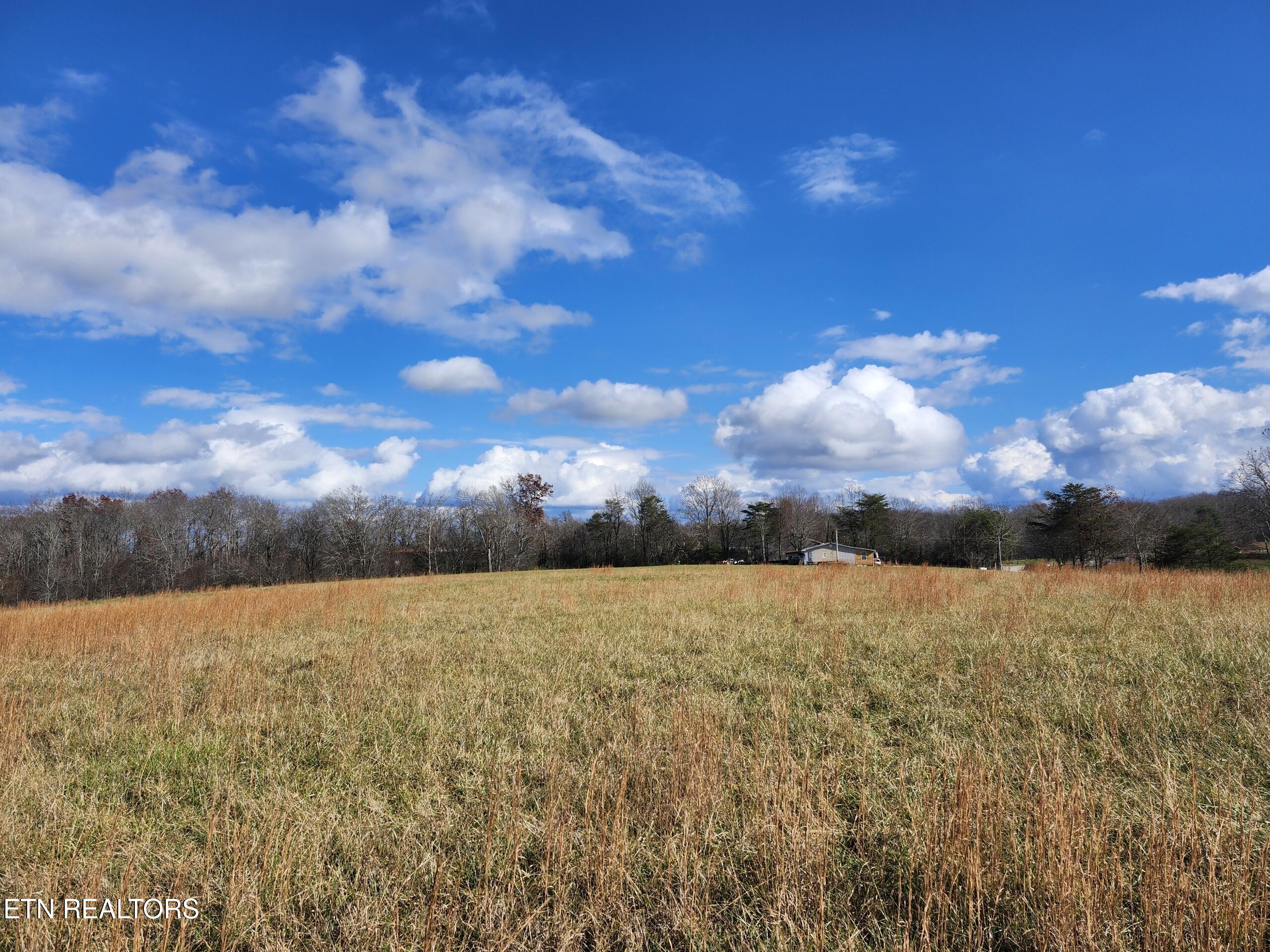 379 Christenson Road Deer Lodge, TN 37726 - Photo 6 of 8 Resized_20251122_124600