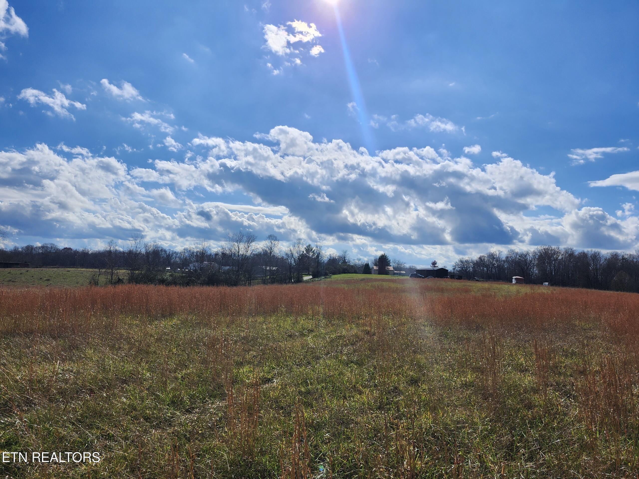 379 Christenson Road Deer Lodge, TN 37726 - Photo 7 of 8 Resized_20251122_124603