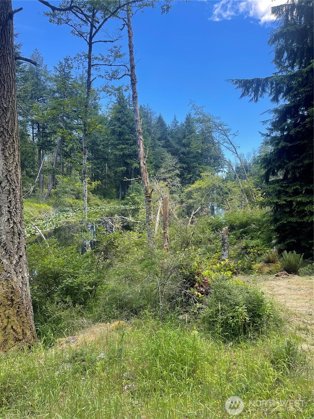 0 Reef Net Road Friday Harbor, WA 98250 - Photo 7 of 40