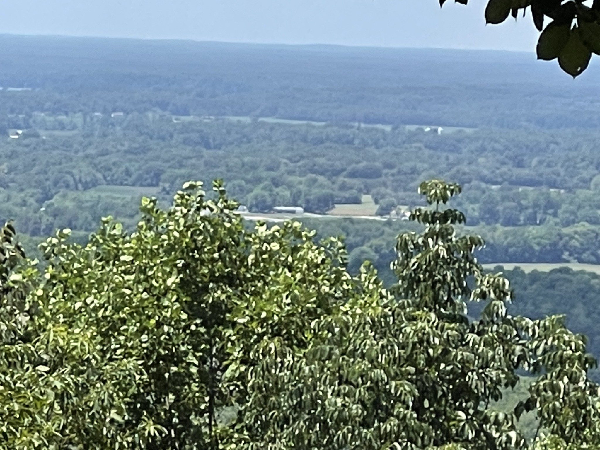 658 Cedar Mountain Place Decherd, TN 37324 - Photo 4 of 53 a view of a garden