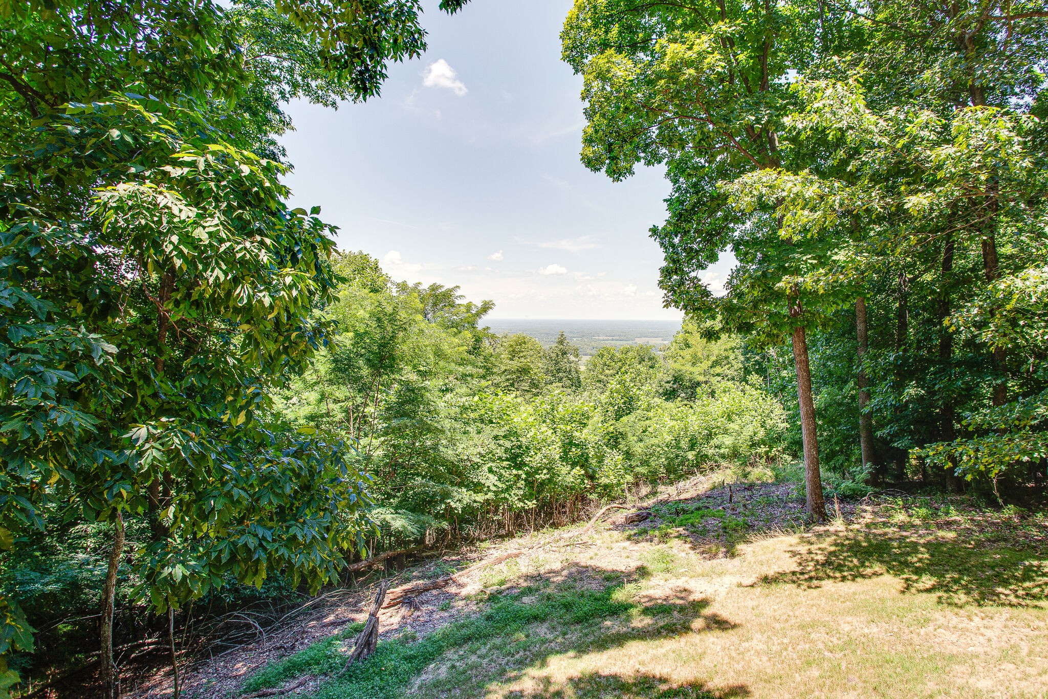 658 Cedar Mountain Place Decherd, TN 37324 - Photo 50 of 53 a view of a yard with plants and large trees